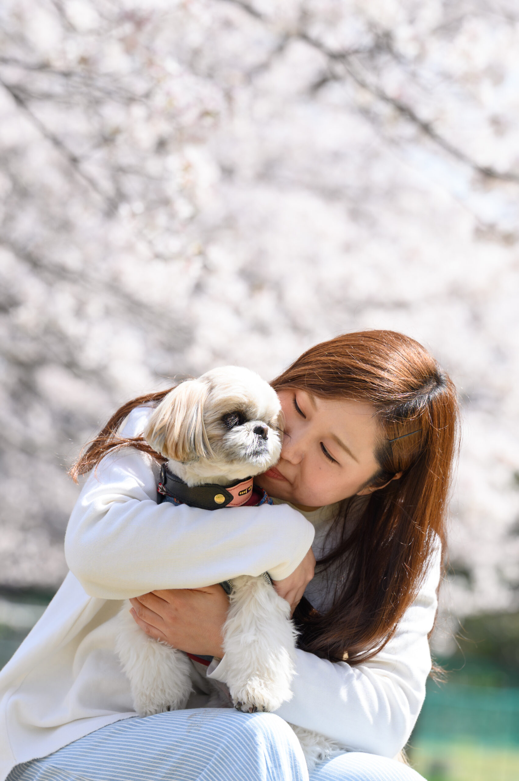 4月の振り返り🌸